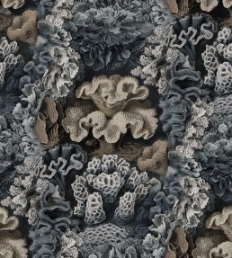 Aquila Wallpaper by Rebel Walls Teal