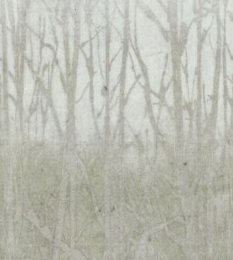 Arbor Wallpaper by Arte Forest