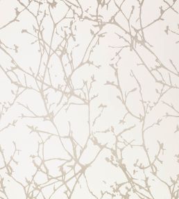 Arbor Wallpaper by Romo Jasmine