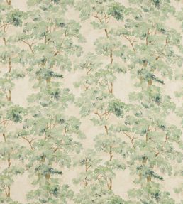 Arbour Fabric by Colefax and Fowler Forest Green