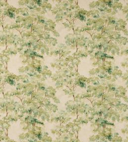 Arbour Fabric by Colefax and Fowler Leaf Green