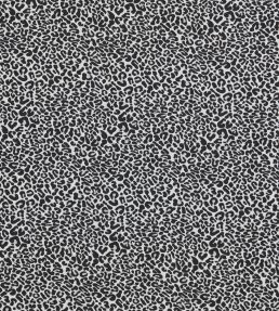 Arcata Fabric by Clarke & Clarke Ebony
