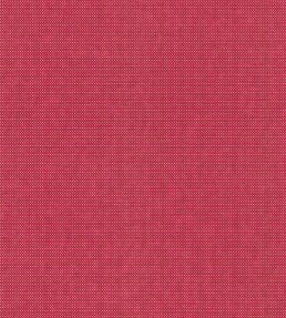Arden Fabric by Wemyss Spice
