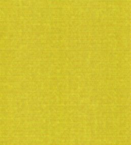 Arden Fabric by Wemyss Zest