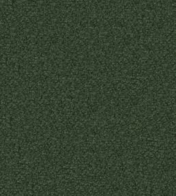 Aria Fabric by Designers Guild Fir