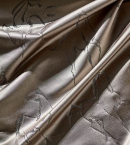 Arion Fabric by Zoffany Fossil