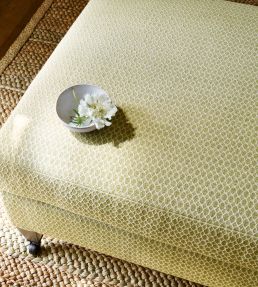 Arlette Fabric by Colefax and Fowler Pink
