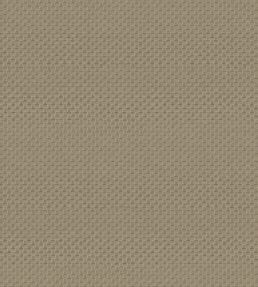 Pantheon Wallpaper by Armani Casa 9241