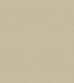Pantheon Wallpaper by Armani Casa 9242