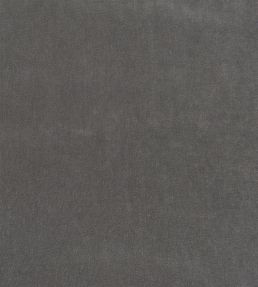 Arona Fabric by Designers Guild Graphite