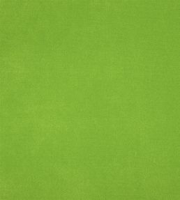 Arona Fabric by Designers Guild Grass