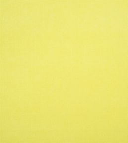 Arona Fabric by Designers Guild Lemon