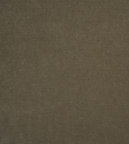 Arona Fabric by Designers Guild Roebuck