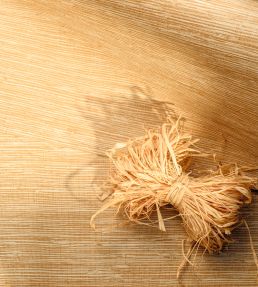 Arrowroot Wallpaper by Elitis Une force tranquille