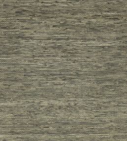 Arrowroot Wallpaper by Mark Alexander Metal