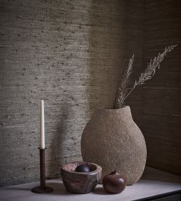 Arrowroot Wallpaper by Mark Alexander Parchment