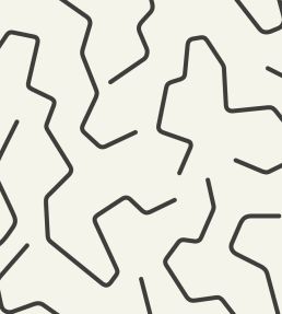 Art Line Wallpaper by Caselio Noir et blanc