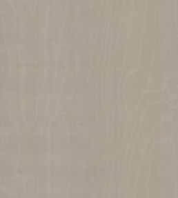 Illusion Wallpaper by Arte 20
