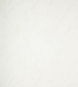 Musa Wallpaper by Arte 1