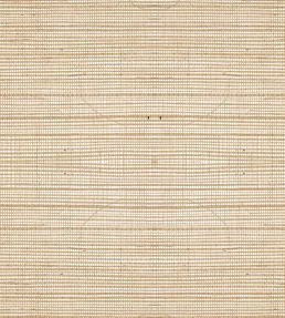 Line Wallpaper by Arte