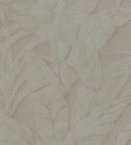 Musa Wallpaper by Arte 00a