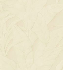 Musa Wallpaper by Arte 005a