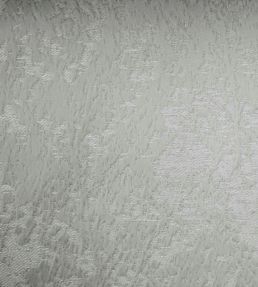 Poplar Fabric by Ashley Wilde Platinum