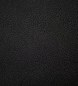 Blean Fabric by Ashley Wilde Ebony