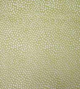 Blean Fabric by Ashley Wilde Pistachio