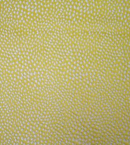 Blean Fabric by Ashley Wilde Zest