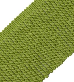 Aspen Bullion Fringe Trimming by Samuel & Sons Meadow