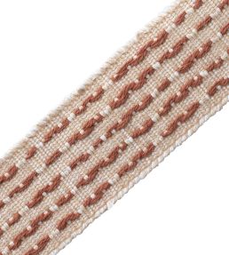 Aspen Slubbed Border Trimming by Samuel & Sons Adobe
