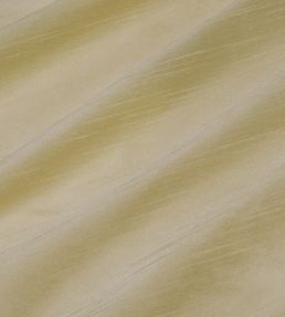 Astor Fabric by James Hare Narcissus