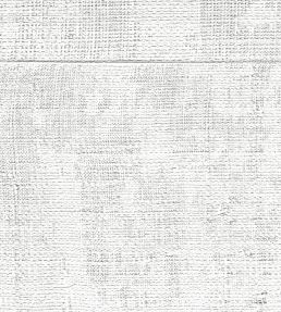 Atelier D'Artiste Wallpaper by Elitis Retour en Grace