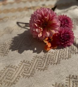 Athenia Fabric by Titley and Marr Ecru