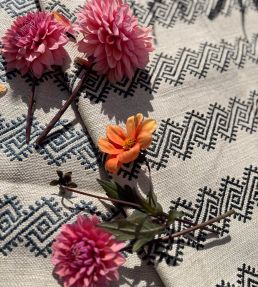 Athenia Fabric by Titley and Marr Graphite