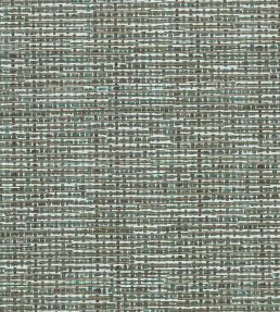 Atrio Fabric by Clarke & Clarke Peacock