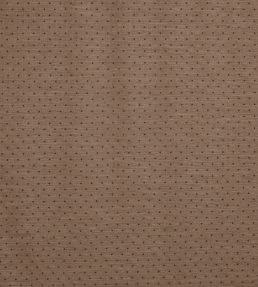 Ava Fabric by Prestigious Textiles Butterscotch