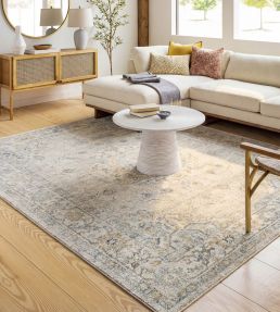 Livabliss Avellino Vintage rug Grey AVL2316-537 Grey