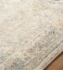 Livabliss Avellino Vintage rug Grey AVL2316-537 Grey