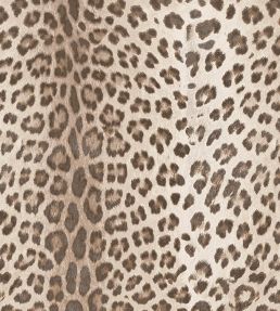 Baby Leopard Fabric by Arley House Taupe