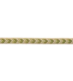 Bagatelle Gimp Trimming by Samuel & Sons Fern