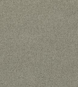 Baker House Boucle Fabric by GP & J Baker Dove