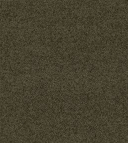 Baker House Boucle Fabric by GP & J Baker Forest