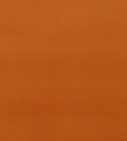 Montpellier Velvet Fabric by Baker Lifestyle Spice
