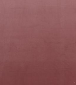 Montpellier Velvet Fabric by Baker Lifestyle Rose