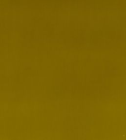 Montpellier Velvet Fabric by Baker Lifestyle Moss