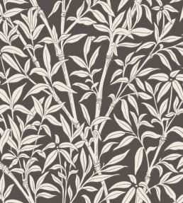 Bamboo Forest Wallpaper by Cole & Son Snow on Soot