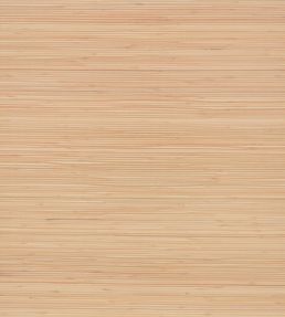 Bamboo Wallpaper by Mark Alexander Harvest
