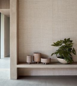 Banana Bark Wallpaper by Mark Alexander Whitewash